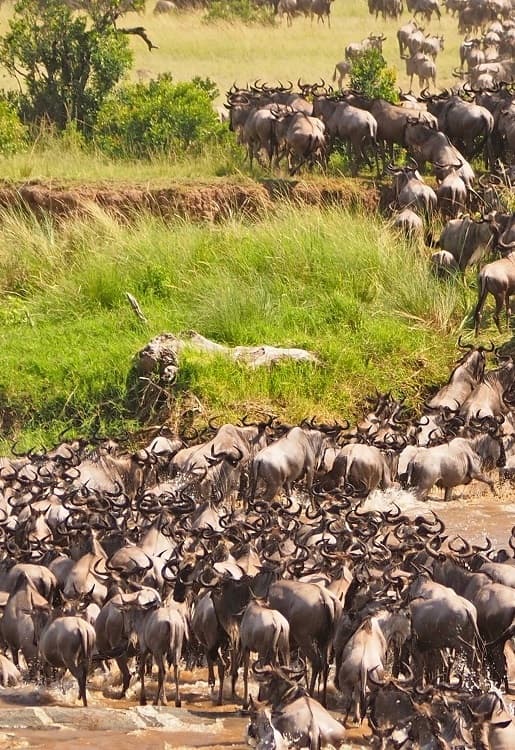 Lake Mburo National Park